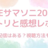 IVE（アイヴ）サマソニ2024のセトリと感想レポ！見逃し配信はある？